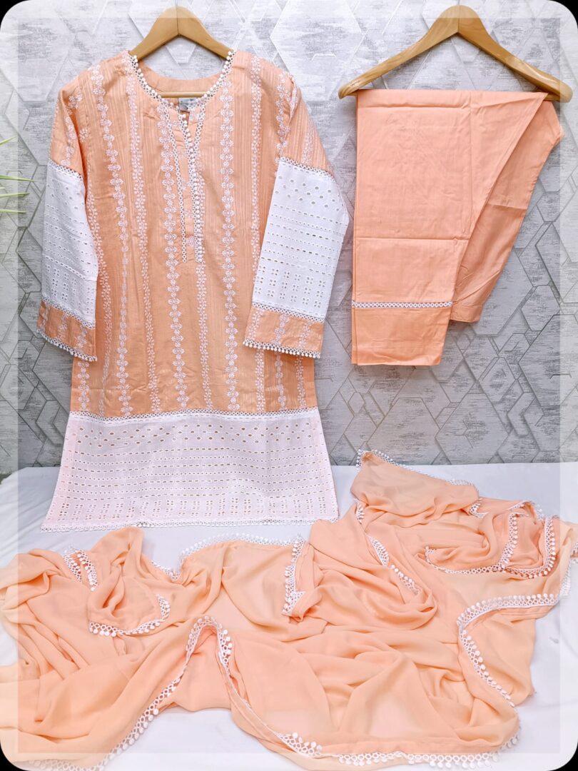 3 Pc Chikankari Stitched Collection 2024 - Image 2